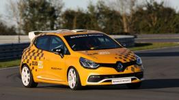 Renault Clio IV RS 200 (2013) - widok z przodu