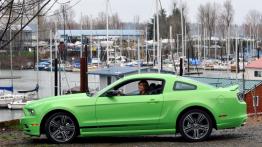 Ford Mustang 2013 - lewy bok