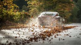 Bentley Continental GT Speed 2013 - widok z tyłu