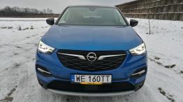 Opel Grandland X - galeria redakcyjna - widok z przodu