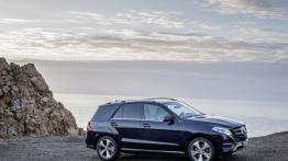 Mercedes GLE 250 d 4MATIC (W 166) 2016 - prawy bok