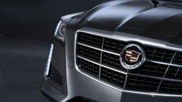 Cadillac CTS III (2014) - grill