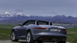 Jaguar F-Type V6 Satellite Grey - widok z tyłu