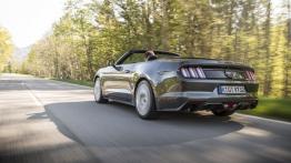 Ford Mustang VI Cabrio EcoBoost (2015) - wersja europejska - widok z tyłu