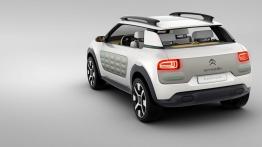 Citroen Cactus Concept (2013) - widok z tyłu