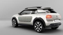 Citroen Cactus Concept (2013) - widok z tyłu