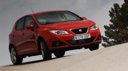 Seat Ibiza 2008 - widok z przodu