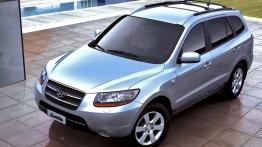 Hyundai Santa Fe 2006 - widok z góry