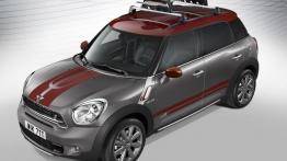 Mini Countryman Park Lane (2015) - widok z góry