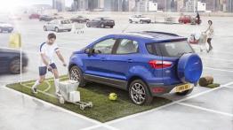 Ford EcoSport (2013) - wersja europejska - widok z tyłu