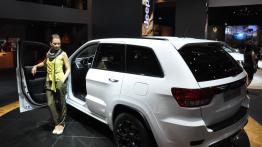 Paris Motor Show 2012 - hostessy