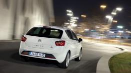 Seat Ibiza V Facelifting - widok z tyłu