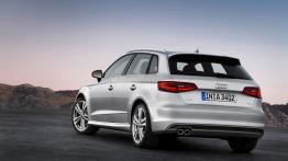 Audi A3 III Sportback - widok z tyłu