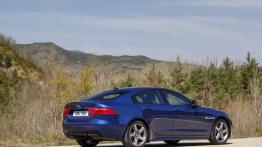 Jaguar XE 2.5t R-Sport Bluefire (2015) - widok z tyłu