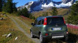 Fiat Panda III 4x4 - widok z tyłu