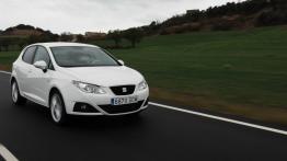 Seat Ibiza 2008 - widok z przodu