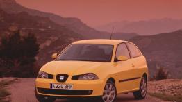 Seat Ibiza V - widok z przodu