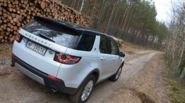 Land Rover Discovery Sport - galeria redakcyjna - widok z tyłu