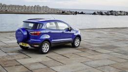 Ford EcoSport (2013) - wersja europejska - widok z tyłu