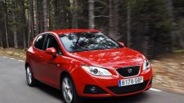 Seat Ibiza 2008 - widok z przodu