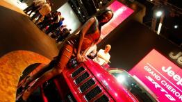 Frankfurt Motor Show 2011 na żywo - hostessy