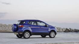 Ford EcoSport (2013) - wersja europejska - widok z tyłu