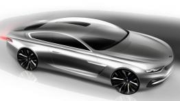 BMW Pininfarina Gran Lusso Coupe Concept (2013) - szkic auta