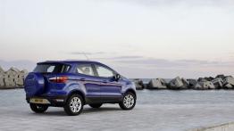 Ford EcoSport (2013) - wersja europejska - widok z tyłu