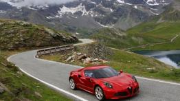 Alfa Romeo 4C (2013) - widok z góry