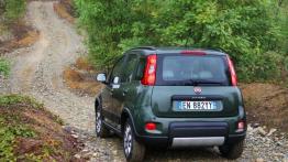 Fiat Panda III 4x4 - widok z tyłu