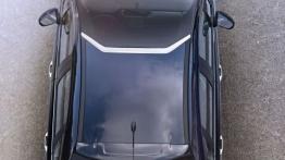 Citroen C3 II Facelifting (2013) - widok z góry