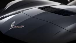 Chevrolet Corvette C7 Stingray - logo