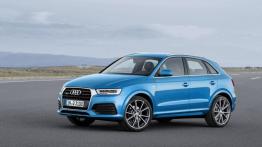 Audi Q3 Facelifting (2015) - lewy bok