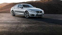 BMW 435i Gran Coupe (2014) - widok z przodu