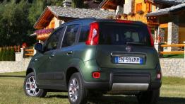 Fiat Panda III 4x4 - widok z tyłu