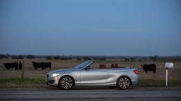 BMW 228i Cabrio (2015) - wersja amerykańska - lewy bok