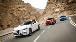 Alfa Romeo Stelvio Quadrifoglio (2018)