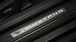 Ford Mustang VI Cabrio (2015) - listwa progowa