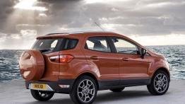 Ford EcoSport (2013) - wersja europejska - widok z tyłu