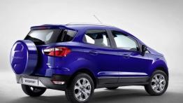 Ford EcoSport (2013) - wersja europejska - widok z tyłu