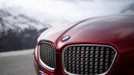 BMW Zagato Coupe Concept - grill