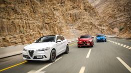 Alfa Romeo Stelvio Quadrifoglio (2018)