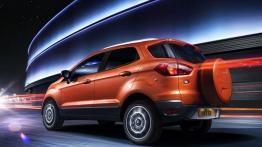 Ford EcoSport (2013) - wersja europejska - widok z tyłu