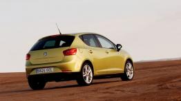 Seat Ibiza 2008 - widok z tyłu