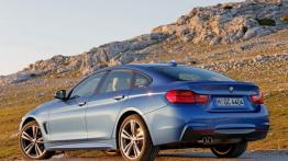 BMW 428i Gran Coupe M Sport - widok z tyłu