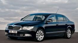 Skoda Superb II - widok z przodu