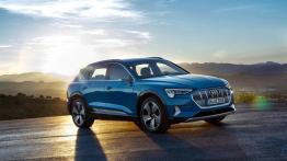 Audi e-tron - widok z przodu