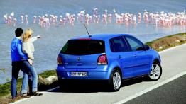 Volkswagen Polo V - widok z tyłu