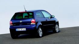 Volkswagen Polo V - widok z tyłu