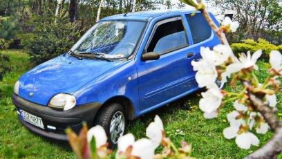 Fiat Seicento Hatchback 3d